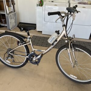LandRider Auto Shift Bike- $100