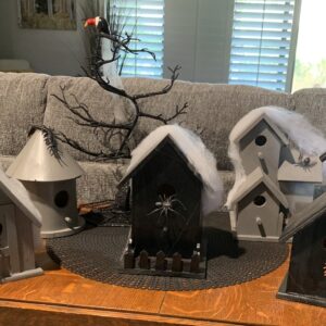 “Spooky BIrd House Village”